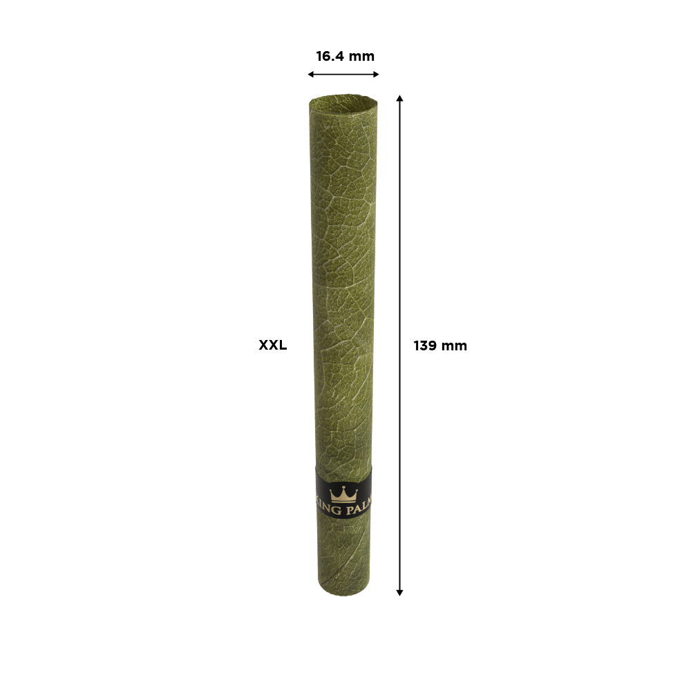 King Palm XXL Roll