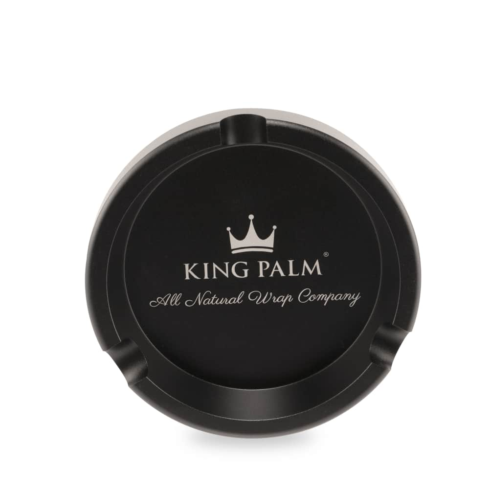 King Palm Aircraft Ashtray