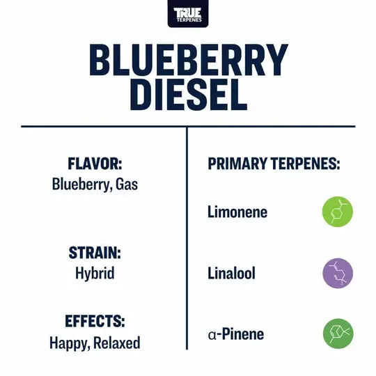 True Terpenes- Blueberry Diesel - Live Alchemy 5ml
