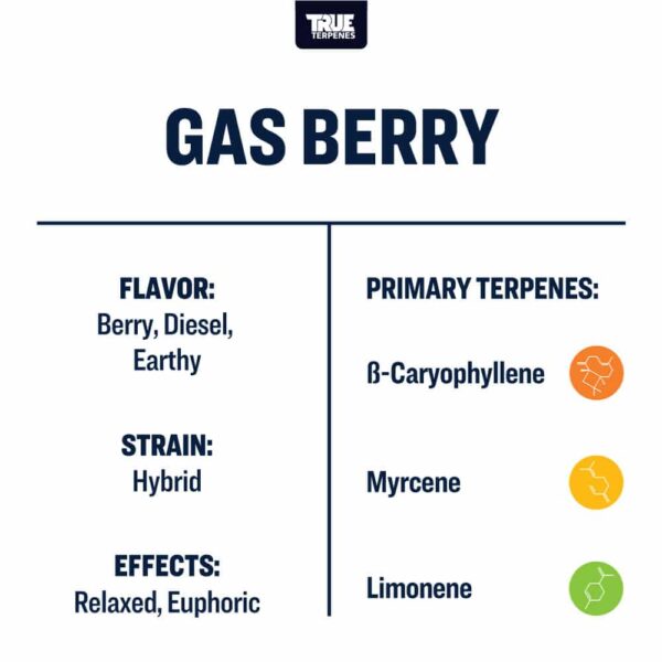 True Terpenes- Gas Berry - Live Alchemy 5ml