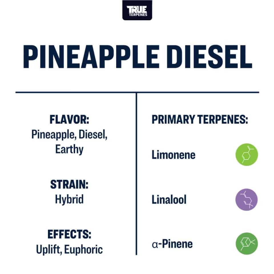 True Terpenes- Pineapple Diesel - Live Alchemy 5ml