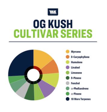 True Terpenes- OG Kush