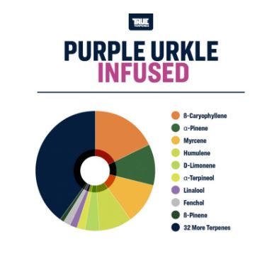 True Terpenes- Purple Urkle Strain Profile